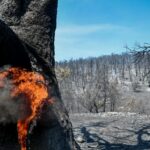 Χαρδαλιάς: «Η Αττική μπορεί να αναπνεύσει ξανά» – Το Μητροπολιτικό Πάρκο «Αέναον» αλλάζει το παράκτιο μέτωπο της Αθήνας