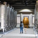 Εγκαινιάστηκε η Γυάλινη Δημοτική Βιβλιοθήκη Θεσσαλονίκης – «Είναι μία νίκη του πολιτισμού» δήλωσε ο δήμαρχος Στ. Αγγελούδης