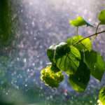 Στουρνάρας: Η οικονομία βρίσκεται σε δυναμική πορεία, παρά την άνευ προηγουμένου αβεβαιότητα