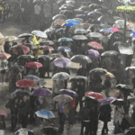 Κόσμος κάθε ηλικίας στο Σύνταγμα, παρά τη βροχή, για τη φωταγώγηση του χριστουγεννιάτικου δέντρου – Δείτε φωτογραφίες