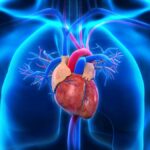 Η Ευρώπη αντιμέτωπη με την Ρωσία: Σκιώδης πόλεμος ή αμυντική ατζέντα;