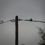 Εικόνες βιβλικής καταστροφής στα Τζουμέρκα: Χωρίς νερό και δρόμους τα χωριά, σπίτια κρέμονται στον αέρα