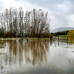 Συστάσεις της Πολιτικής Προστασίας προς τους πολίτες ενόψει των έντονων καιρικών φαινομένων