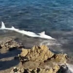 Αντιμέτωπη με συνταξιοδοτική κρίση βρίσκεται η Ευρώπη – Η ανάγκη μετάβασης σε νέα βιώσιμα συστήματα