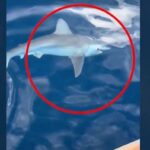 Καθαρίστηκε ο «Δρομέας», το εμβληματικό γλυπτό της Βασιλίσσης Σοφίας