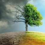 Η Philip Morris International με ενισχυμένη εταιρική δομή – Νέος, διευρυμένος ρόλος για τον Χρήστο Χαρπαντίδη