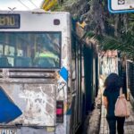 Ελένη Ιωαννίδου: Η λοιμωξιολόγος που φτιάχνει ψηφιδωτά χρησιμοποιώντας ληγμένα χάπια