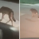 Παπαθανάσης: Επίσκεψη σε επιχειρήσεις στην Κοζάνη που χρηματοδοτηθηκαν από την Δίκαιη Αναπτυξιακή Μετάβαση