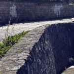 Αντίστροφη μέτρηση για τη διαγραφή των «αιώνιων» φοιτητών – Αφορά περίπου 290.000, θα ολοκληρωθεί έως 31 Δεκεμβρίου