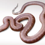 Τι συμβαίνει με το «μαύρο χρήμα» που φθάνει σε ύψος τα 50 δισ. ευρώ ετησίως