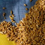 Το χρηματοπιστωτικό σύστημα απέναντι στην κλιματική κρίση: Τι δείχνουν τα νέα δεδομένα της ΕΚΤ