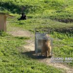 «Μύρισε Χριστούγεννα» …με τη νέα εορταστική καμπάνια της Παπαδοπούλου