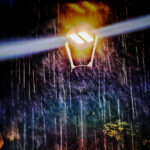 EY: Τρόφιμα και ποτά θα αγοράσουν οι περισσότεροι Έλληνες τα Χριστούγεννα – 1 στους 2 θα μείνει σπίτι