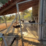 Ιατρικός Σύλλογος Αθηνών: Ζητά τη λήψη μέτρων για το clawback και το δανεισμό «που οδηγούν στο λουκέτο»