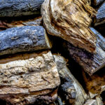 Η επιλογή του Τσίπρα που ξένισε | Αποφασίζουν για τα ευρήματα του γηπέδου του Βοτανικού | Το στοίχημα της Κυβέρνησης στην Εγνατία