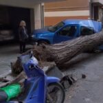 «Ας μας συλλάβουν»: Αμετακίνητοι οι αγρότες μετά την παρέμβαση του Αρείου Πάγου