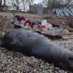 ΥΠΑΑΤ: 96 εκατ. ευρώ για μείωση αποτυπώματος άνθρακα σε αρόσιμες καλλιέργειες