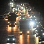 Σοκ στην Αττική: Νεκρή μεσογειακή φώκια από πυροβολισμό στο Μαύρο Λιθάρι