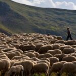 Οι «αόρατοι» που πηγαίνουν στις λαϊκές αγορές μετά τις τρεις το μεσημέρι