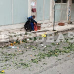 ΕΛΣΤΑΤ: Πτώση 5,5% στις τιμές εκροών γεωργίας – κτηνοτροφίας τον Οκτώβριο