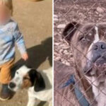 Στο «κόκκινο» η χώρα από τις αγροτικές κινητοποιήσεις – Ανοίγει το αεροδρόμιο Ηρακλείου, πού υπάρχουν μπλόκα