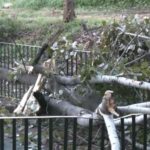 Επιχειρηματικός μετασχηματισμός σε τρία βήματα – Η ταυτότητα δράσης προϋπολογισμού 23 εκατ. ευρώ