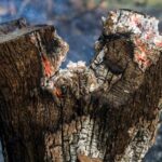 Μελομακάρονα και κουραμπιέδες από «χρυσάφι» – Πόσο θα τα αγοράσουμε φέτος τα Χριστούγεννα