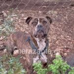 Σεισμός τώρα στα Καλάβρυτα – Ιδιαίτερα αισθητός σε Πάτρα και Κόρινθο