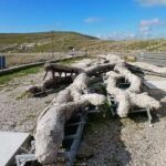 Θρίλερ δίχως τέλος με τον αγνοούμενο διοικητή της Πυροσβεστικής Άνω Ποροΐων – Εντοπίστηκε το αυτοκίνητό του