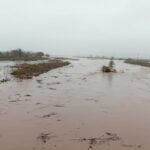 Τόνοι φύλλα σαρώνονται καθημερινά στον δήμο Θεσσαλονίκης και καταλήγουν για κομπόστ