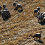 Τι ισχύει για το δώρο Χριστουγέννων των μισθωτών του ιδιωτικού τομέα