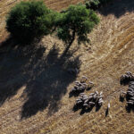 Ουκρανικό: «Καθ’ οδόν για το Μαϊάμι» ο απεσταλμένος του Πούτιν