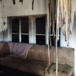 Μυτιλήνη: «Ξαναζεί» ένα δένδρο ηλικίας 18 εκατομμυρίων ετών