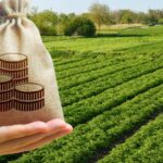 Σοκ στην Αττική: Νεκρή μεσογειακή φώκια από πυροβολισμό στο Μαύρο Λιθάρι