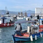 Έρευνα του WWF: Ανεξέλεγκτο το παράνομο εμπόριο άγριων ειδών στην Ελλάδα