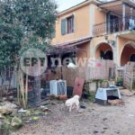 62χρονος από την Καλαμάτα χάρισε ζωή με τον θάνατό του σε τρεις συνανθρώπους του