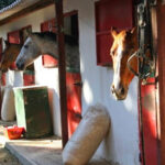 Εγκαινιάστηκε το MOMUS Air στο Αεροδρόμιο Θεσσαλονίκης «Μακεδονία»