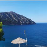 Αστέρας Τρίπολης: «Τελειώνει» ο Κόουλμαν, φαβορί ο Ράσταβατς