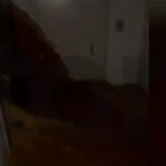 Λένα Διβάνη σε Καρυστιανού: Πριν καλά καλά βγείτε στο κλαρί, χρησιμοποιήσατε τη δημοκρατική βιτρίνα που καλύπτει ακροδεξιές ιδέες