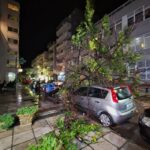 Αγροτικές κινητοποιήσεις: «Ναι» στον διάλογο με τα τρακτέρ στα μπλόκα – Κλιμάκωση αν δεν βρεθεί λύση