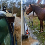 Θεσσαλονίκη: 64χρονος χάρισε ζωή με τον θάνατό του – Ολοκληρώθηκε δωρεά οργάνων στο “Γεώργιος Παπανικολάου” Newsroom