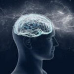 Νέα υπερσύγχρονη συσκευή μεταφοράς καρδιάς ενισχύει τις μεταμοσχεύσεις στο Ωνάσειο Νοσοκομείο Newsroom