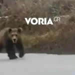 Κακοκαιρία στην Αττική: Φούσκωσε ο Ιλισσός από την έντονη βροχόπτωση [Βίντεο]