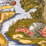 Γεωργία Πιτσιλάδη: Η πραγματική «Όλγα» του «Ριφιφί» μιλάει για τον χαμό του παιδιού της και τον αγώνα που έδωσε