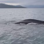 Οι διπλωματικοί χειρισμοί μετά την κρίση των Ιμίων