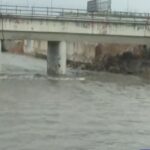 Αναστάτωση στην Κοζάνη: Αρκούδα βολτάρει σε χωριό της Εορδαίας [βίντεο]