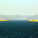 Τραμπ: Ζήτησα από τον Πούτιν να σταματήσει τους βομβαρδισμούς για μία εβδομάδα