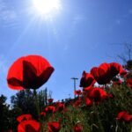 Ιστορική στιγμή για το Πολεμικό Ναυτικό: Σε ελληνικά νερά η πρώτη φρεγάτα Belharra, «Kίμων» – «Μπαίνουμε σε καινούργια φιλοσοφία πλοίων»