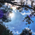 Αρκάς για Ιράν: Η Αριστερά μισεί όλους τους τυράννους εκτός από αυτούς που μισούν τη Δύση