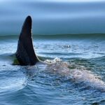 Ιράν: Χάκαραν την κρατική τηλεόραση – Μετέδιδε μηνύματα του Παχλαβί